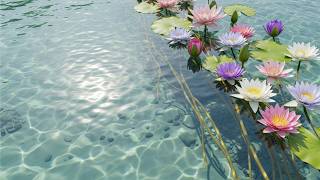 Download lagu Prelude of Water Lily mp3