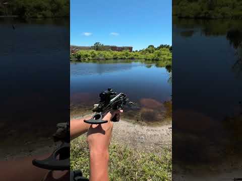 BowFishing Crossbow