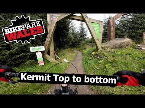 Kermit - Beginner MTB at Bike Park Wales, UK