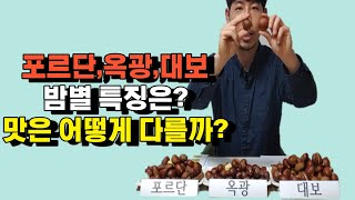 포르단, 옥광, 대보 특징 및 맛은? 보관 방법까지! - 유실수