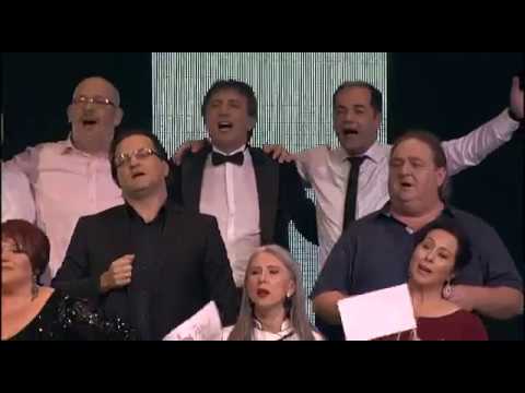 Radoslav Ponjavic Dzoni - Sumadijo (live) - Nikad nije kasno Finale - EM 39 - 25.06.2017