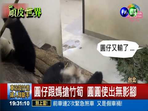動物園9小福闖關 親子溫馨互動