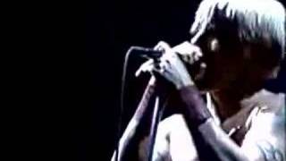 Sir Psycho Sexy- Red Hot Chili Peppers