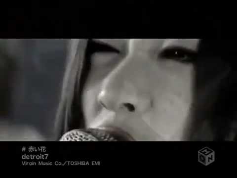 detroit7 - 赤い花 (Music Video)