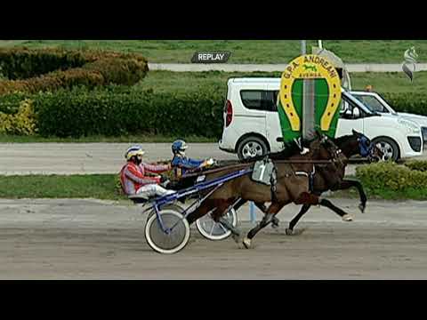 Aversa trotto 30 Gennaio 2021 - 5° Corsa