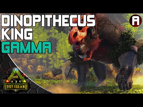 Dinopithecus King (Gamma)