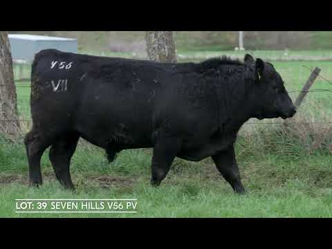 Lot 39  SEVEN HILLS V56 PV