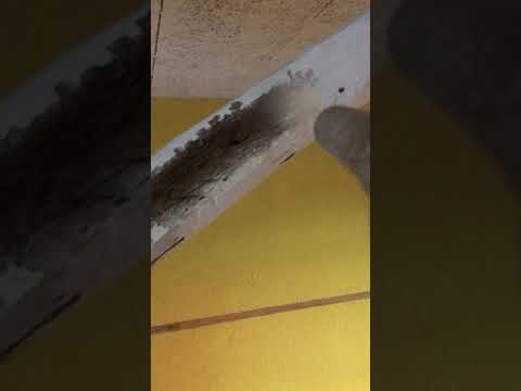 Crio Sabbiatura Trave Legno Con Ghiaccio Secco