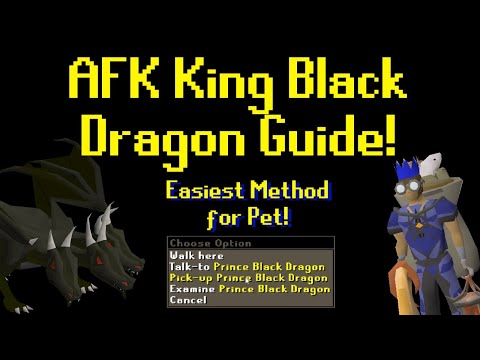 AFK King Black Dragon Guide (Easiest Method for Pet) OSRS