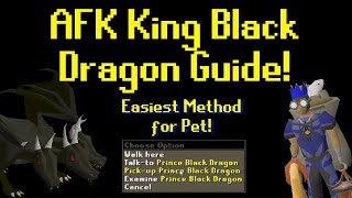 AFK King Black Dragon Guide (Easiest Method for Pet) OSRS