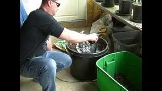 How To Mix Soil And Why For Growing 1 Pound Medical Marijuana Plants