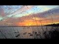 The Perishers - Let There Be Morning (Cover) with Lyrics Included