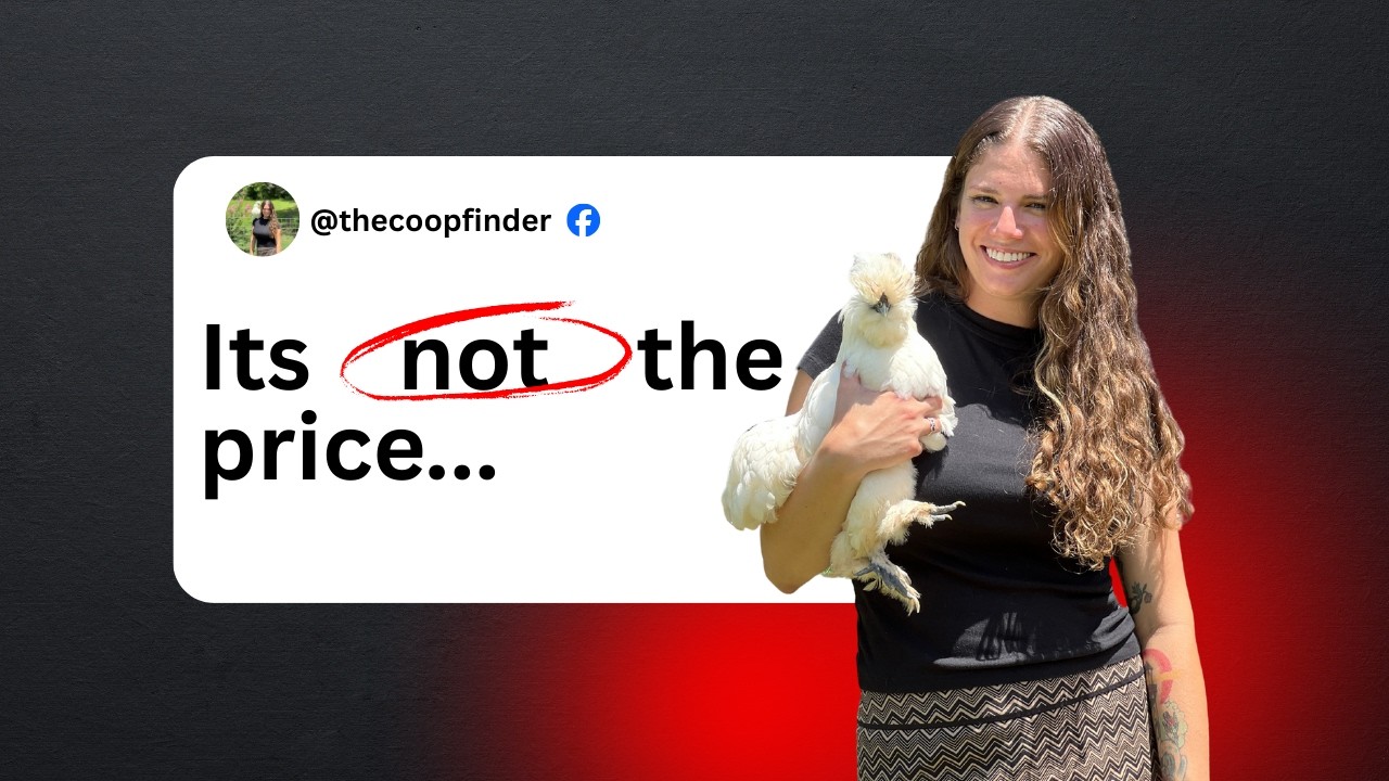 Buyer Tip – What to Know Before You Buy