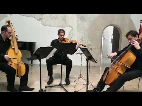Finale from Haydn's Baryton Trio n. 93 in C major - Live at The Castle of Riba-Roja