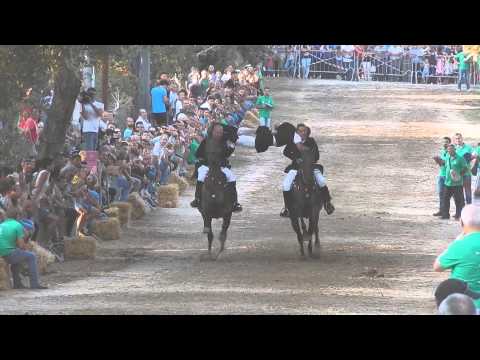 pariglie abbasanta esibizione pariglia di noragugume ponte  30.08.2015