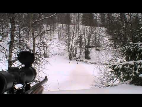 Browning bar semi-auto 308 win