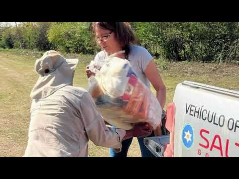 Inicia en Santa Victoria Este la distribución de módulos focalizados para familias originarias
