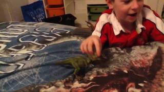 Brother T. rex versus baby T. rex