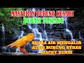 Masteran Suara Burung Kenari AF Gacor Dan Suara Gemericik Air Mengalir Jernih Durasi 3 Jam