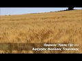 ΟΡΦΙΚΟΣ ΥΜΝΟΣ ΓΑΙΑΣ 