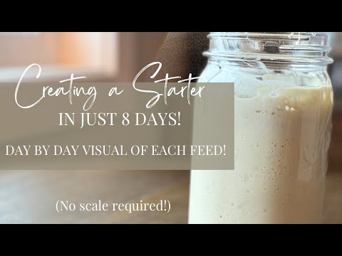 Creating a sourdough starter in just 8 days: daily feedings!