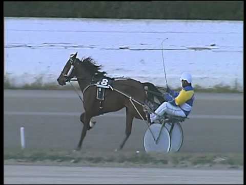 Trotto 07/01/2016 - 4° corsa