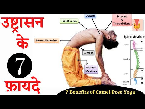 Top 7 Benefits of Camel Pose Yoga / Camel pose ke fayde / Practice this daily for a healthy spine
