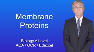 A Level Biology Revision "Membrane Proteins"