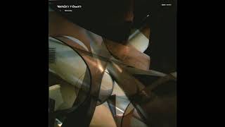 AMON TOBIN ‎– SLOWLY (ZEN 1092)