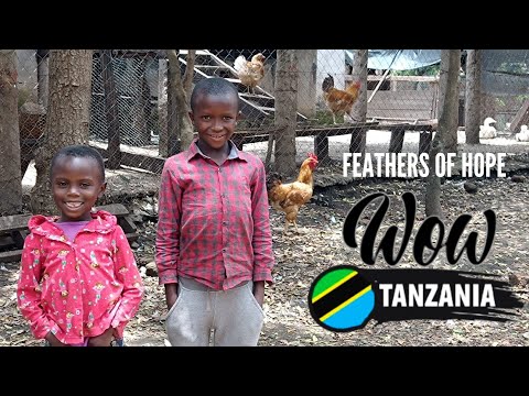 Feathers of Hope: Empowering by Poultry Farming