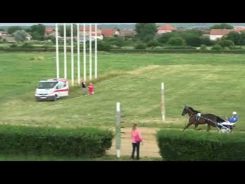 Trka ''Mlava" 11.6.2022. Rapid Crown - Djordjevic Novica