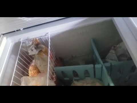 Deep freezer two door Frigidaire 26 cubic