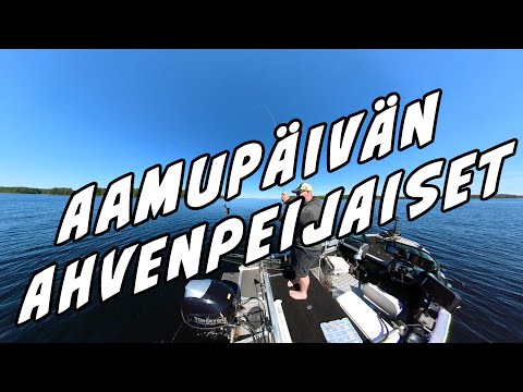 Aamupäivän ahvenpeijaiset