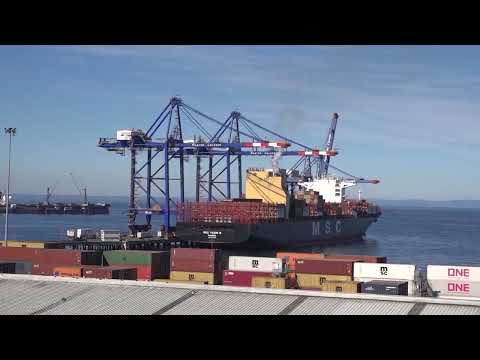 Caso Puerto Coronel: cierran investigación y Fiscalía acusará a 7 imputados incluido el alcalde