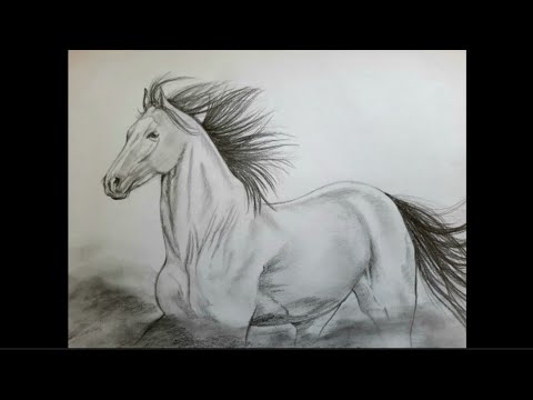 Dessin facile et rapide d'un beau cheval | Crayon