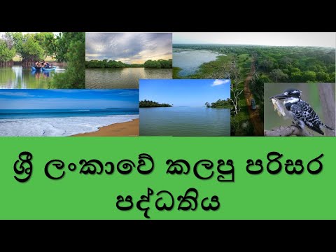 Lagoon ecosystem - කලපු පරිසර පද්ධතිය - pameera boz