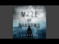 Chapter 150 - Maze of Shadows (A Brianna Dagger Espionage Thriller—Book 4)