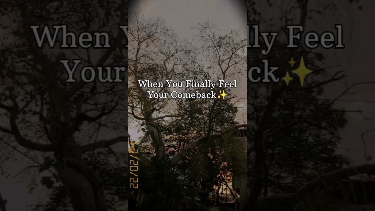 Day 84/100 of learning web development #coderlife #coding #100dayscoding #webdevelopment