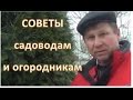 ПОЛЕЗНЫЕ СОВЕТЫ. Боремся с вредителями БЕЗ ХИМИИ, КОМПОСТ из садового ...