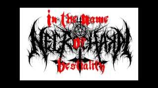 Necrochakal - In The Name Of Bestiality