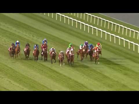 Jungle Cat wins at 2017 DWCC