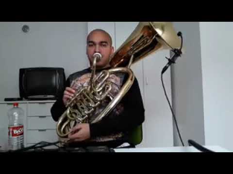 OFANZIVA KOLO - Zoran Paunović - Nego Bass ( Cover)