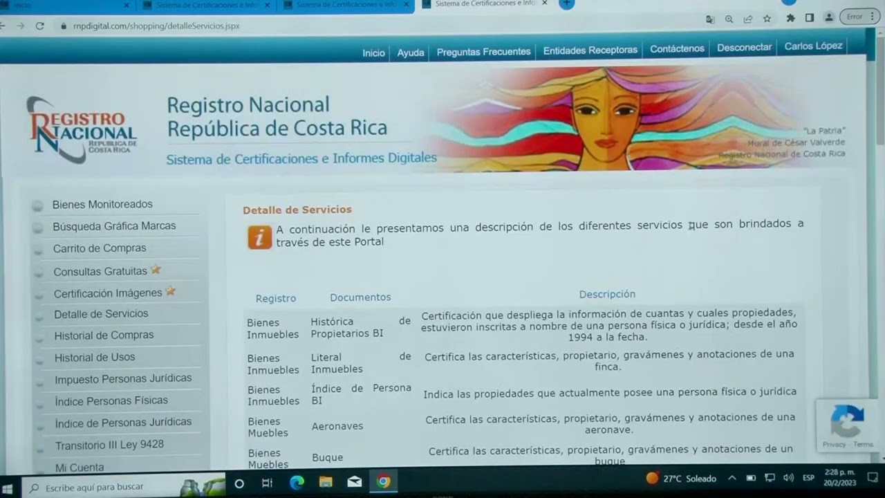 Uso de la plataforma web del Registro Nacional