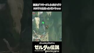 画面がフリーズして見つけたコログｗｗ【ゼルダの伝説 ブレス オブ ザ ワイルド】