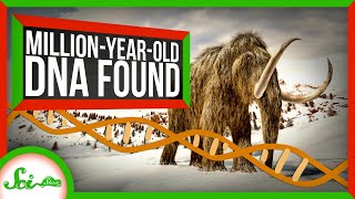 The Oldest DNA Ever Found