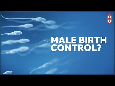 Why Isn't there a Birth Control Pill for Males?