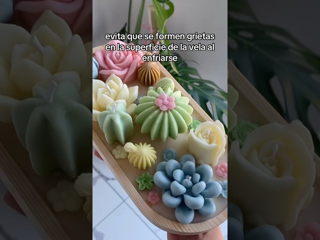 Vídeo relacionado con Cereria di Giorgio - Paquete de 6 velas - Diámetro 6 cm altura 15 cm - Color azul polvo - Duración 72 horas