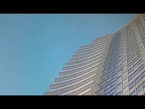 CAT FALLS 33 FLOORS AND SURVIVES.