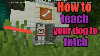 Minecraft | How to teach your dog fetching!!in mcpe/bedrock edition