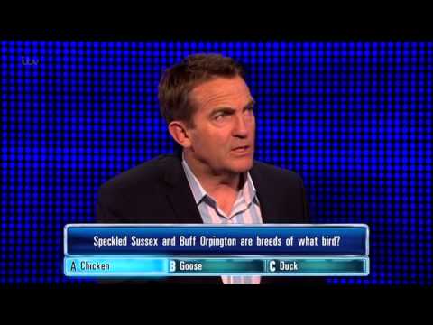 Chris Clings On - The Chase